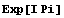 Exp[I Pi]